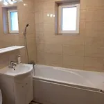Cozia Timisoara